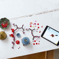 10369 Lego Botanicals - Erik Çiçeği 327 parça +18 yaş - görsel 4