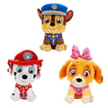 79552 SUN-HTI-SBR-PELUŞ PAW PATROL LIL BODZ VALENTINES 28CM PAW 3A - görsel 4