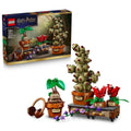 76474 Lego Harry Potter Hogwarts Bitkibilim Bitkileri 817 parça +12 yaş - görsel 1