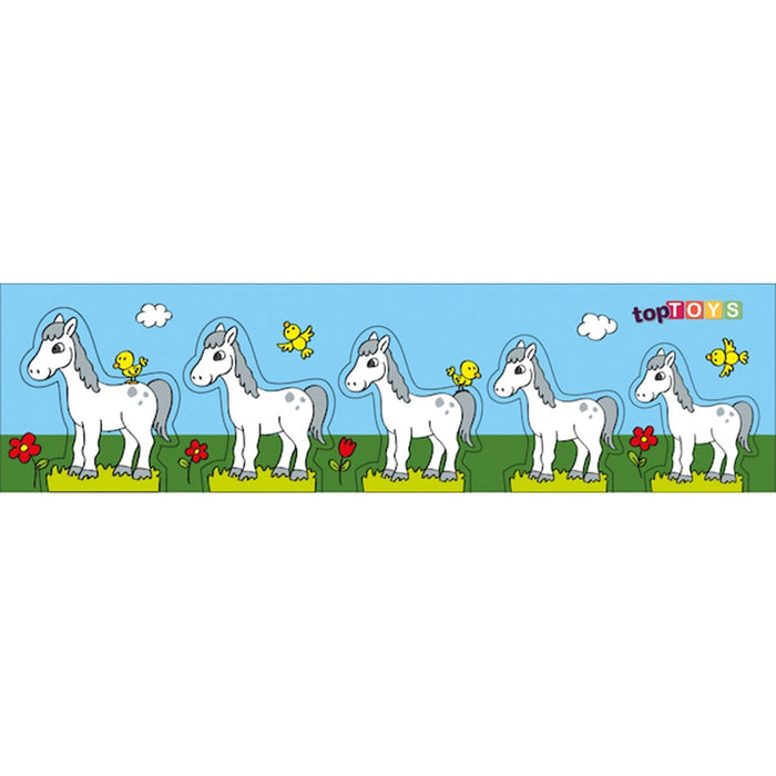 CS-7033-35 BÜYÜKTEN KÜÇÜĞE KÜÇÜKTEN BÜYÜĞE SIRALA 7034-7035 - Toyz Show - 