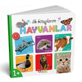 7202 İLK KİTAPLARIM 6LI SET - görsel 5