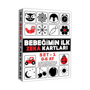 2199 EĞİTİCİ KARTLAR 0-6 AY ZEKA KARTLARI - Toyz Show
