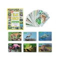 1352 F.CARDS İLK 50 HAYVAN - görsel 2