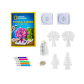 NAT00002 National Geographic Kristal Bahçe Kiti - TRCRYSGRDN +8 yaş - görsel 2