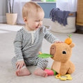 HYR54 FFisher-Price Yumuşak Kapibara - görsel 3