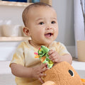 HYR54 FFisher-Price Yumuşak Kapibara - görsel 5