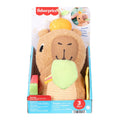 HYR54 FFisher-Price Yumuşak Kapibara - görsel 6