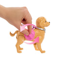 JJB46 Barbie ve Köpekçiğin Yürüyüş Zamanı - görsel 4