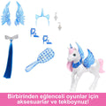 HRR16 Barbie Mavi Saçlı Prenses Bebek - görsel 5