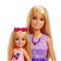 JBF43 Barbie Malibu ve Chelsea ve Aksesuarları - görsel 4