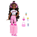 JFX97 Brooklyn-Barbie Dream Besties Paten Partisi Brooklyn Bebek ve Aksesuarları - görsel 3