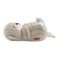 FXC66 Fisher-Price® Uyku Arkadaşı Su Samuru - görsel 4