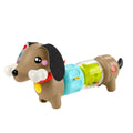 HTW91 Fisher-Price Köpekçikle Eğlenceli Aktiviteler - görsel 3