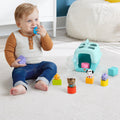 HTW93 Fisher-Price Hayvan Dostlarımın Çantası - görsel 5