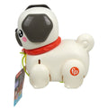 HTW94 Fisher-Price  Minik Dostumla Yürüyüş - görsel 2