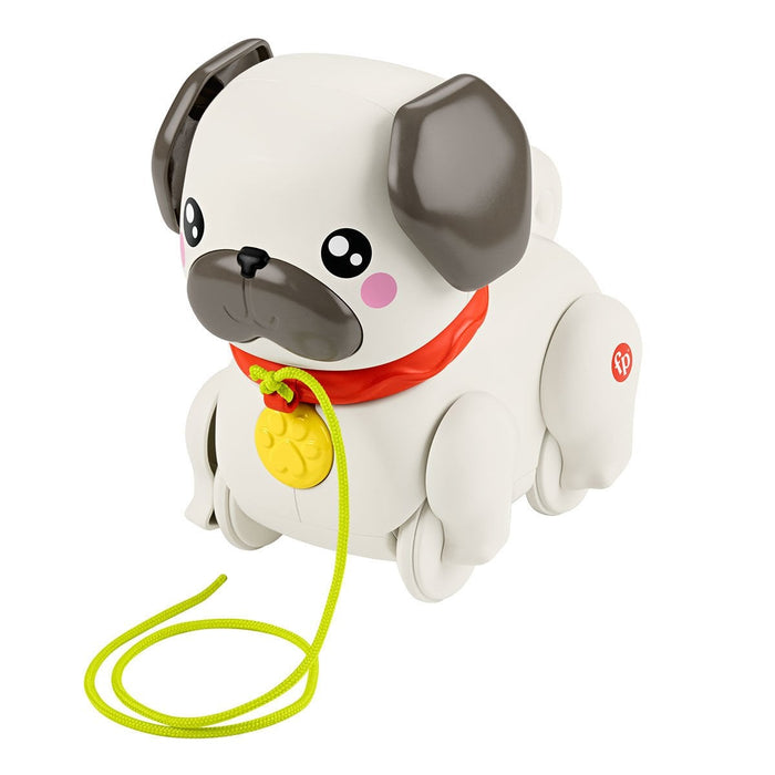 HTW94 Fisher-Price  Minik Dostumla Yürüyüş - Toyz Show - 