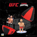 PMI/UFC2009 - görsel 5