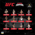 PMI/UFC2009 - görsel 3