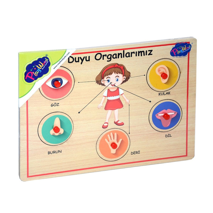 166/167 Onyıl, Ahşap Tutmalı Organlar - Toyz Show - 