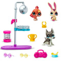 6377 SUN- LİTTLEST PETSHOP MİNİŞLER  DISCO NİGHT  OYUN SETİ - görsel 3
