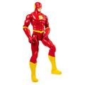 SPM-6056779 12 FİGÜR - FLASH - görsel 3