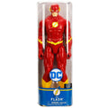 SPM-6056779 12 FİGÜR - FLASH - görsel 4