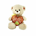PJH2323 Peluş Kalpli Ayı Love You 30 cm - görsel 1